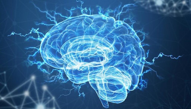 Beyni güçlendiren altın üçlü açıklandı!