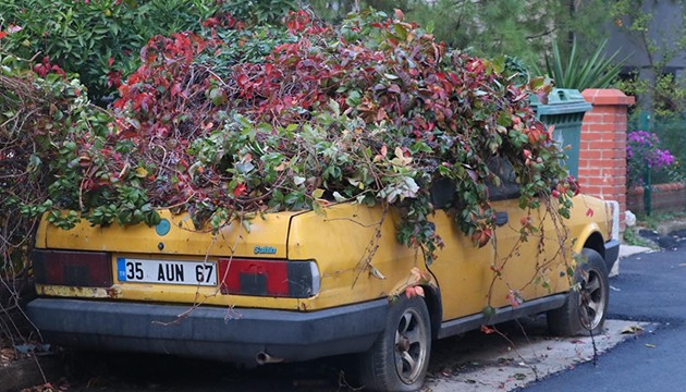 Otomobil 8 yılda saksıya döndü