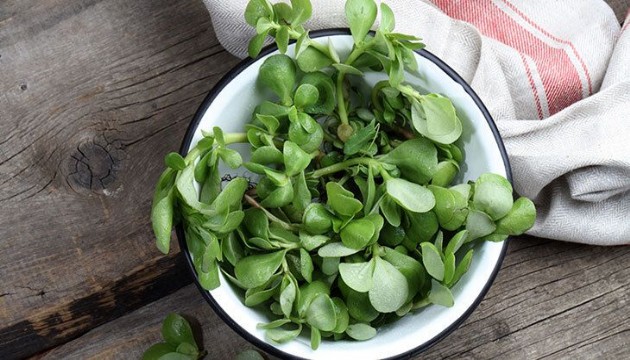 Semizotunun faydaları saymakla bitmiyor!