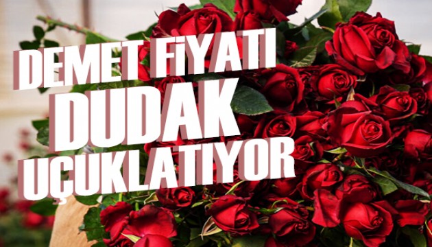 Kesme gülde Sevgililer Günü yoğunluğu