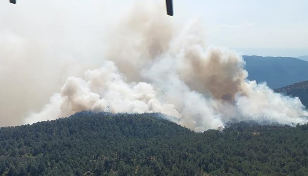 Sinop'ta orman yangını