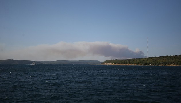 Çanakkale ve Sinop'ta yangın