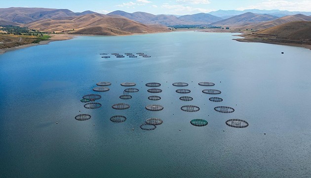 Bayburtlu somonların Rusya yolculuğu başladı