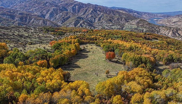 Diyarbakır'da sonbahar renkleri