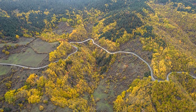 Ilgaz Dağı'nda renk cümbüşü