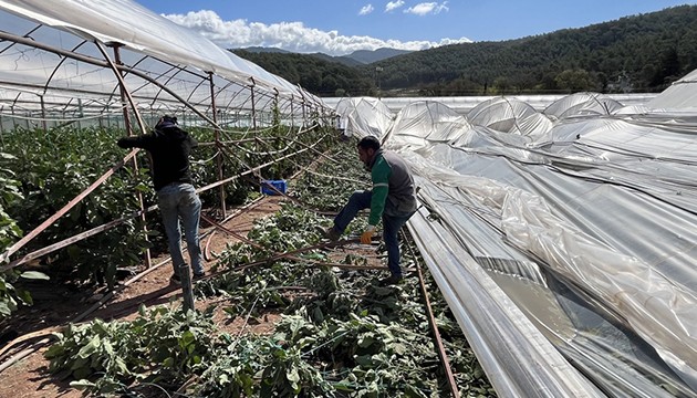 Antalya'da hortum seralara zarar verdi
