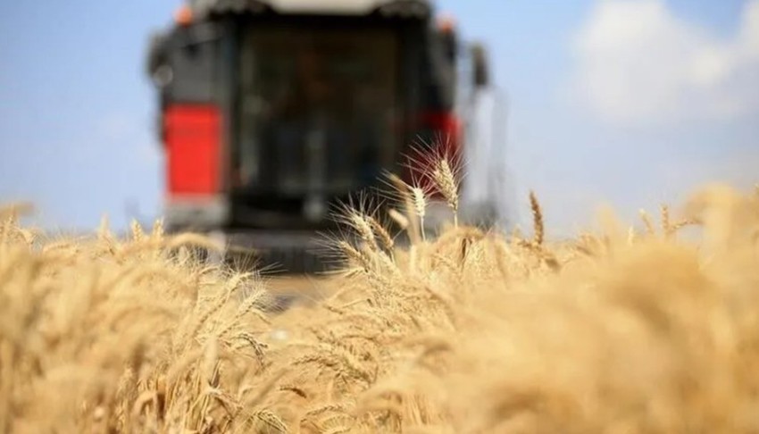 Küresel gıda fiyatları zirveyi gördü