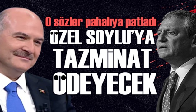 Sahtekar Sülü paylaşımına ceza: Özel, Soylu'ya tazminat ödeyecek