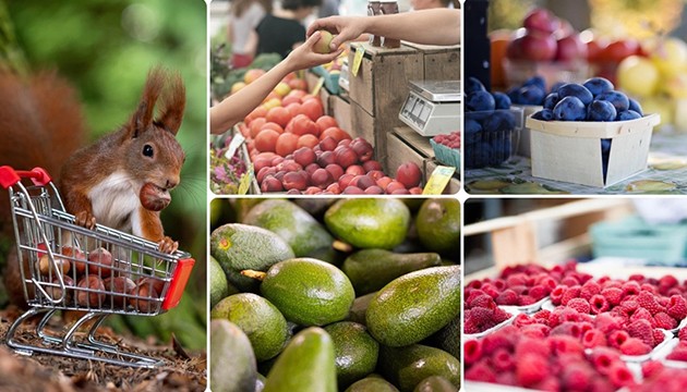 İzmir'de uygun fiyatlı mağaza projesi