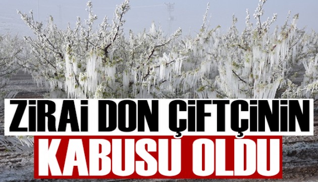 Ali Ekber Yıldırım yazdı: Zirai don çiftçinin kabusu oldu