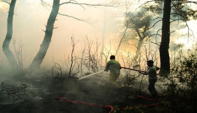 Orman yangınlarında bilanço