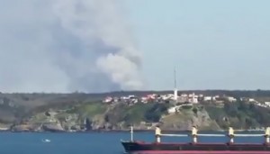 İstanbul'da orman yangını
