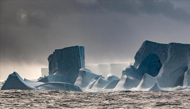Antarktika'da heyecanlandıran keşif