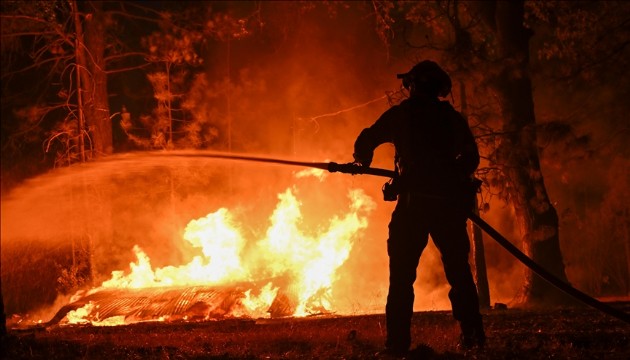 Almanya günlerdir orman yangınlarıyla mücadele ediyor