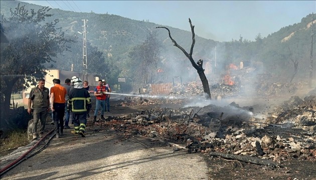 Kastamonu'da orman yangını