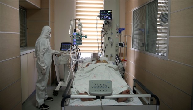 Saatler içinde 50'den fazla insan öldü: Yeni virüsün kaynağı yine yarasa