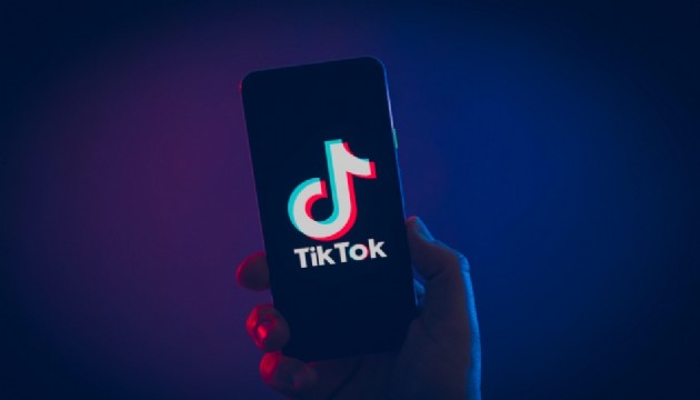 AB kurumlarında TikTok yasağı genişliyor