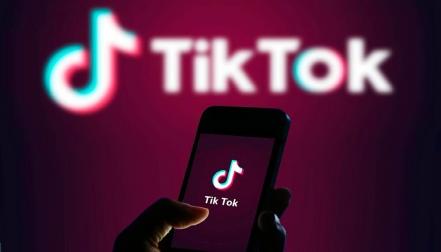 TikTok, bir ülkede daha yasaklandı!