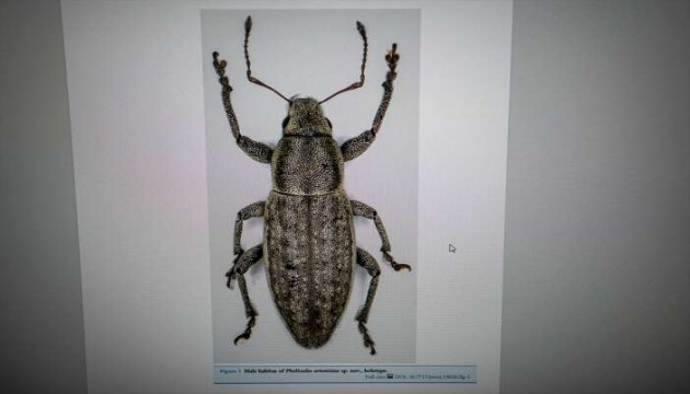 Doğu Anadolu'da keşfedildi! Dünya literatürüne girdi