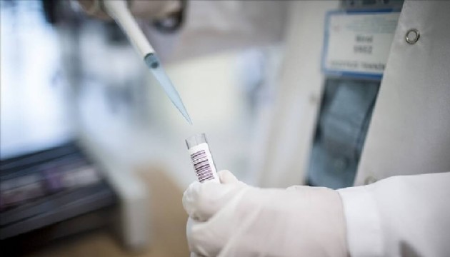 Bir ülkede daha maymun çiçeği vakası!