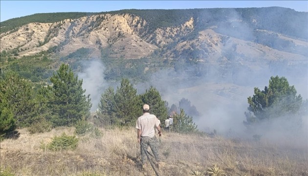 O ilde ormana girişler yasaklandı