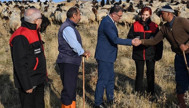 Van'da çiftçilere 200 bin koyun verildi