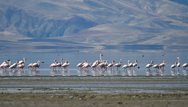 Erçek Gölü'nde dev kuraklık