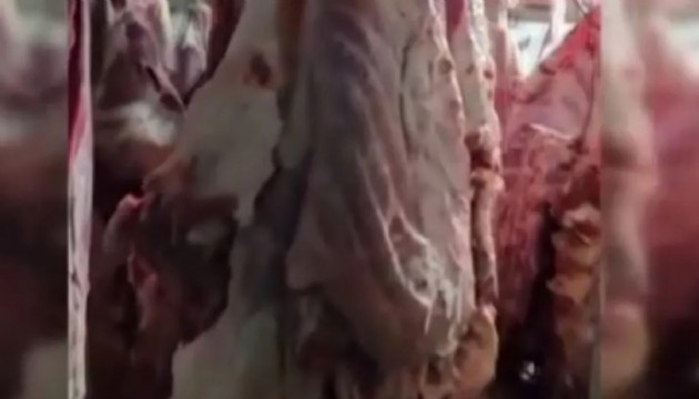 Bakanlık paylaştı: 1,5 ton et imha edildi