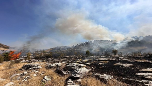 Adana, Bingöl ve Muğla'da orman yangını