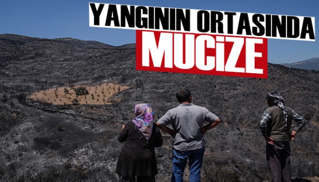 İzmir'deki yangında yanmayan bahçe mucizesi!