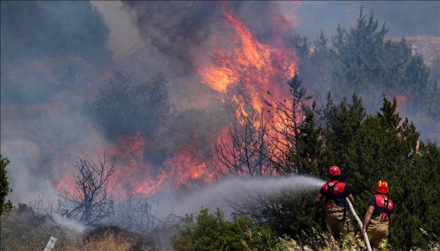 Mersin'de orman yangını!