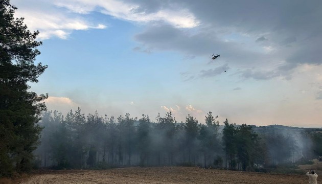 Osmaniye'de orman yangını!