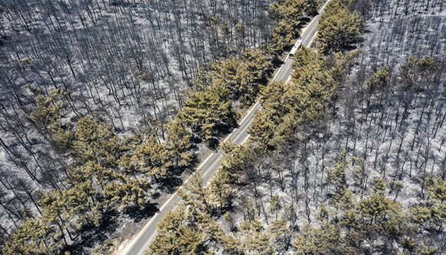 Yanan alanlar havadan görüntülendi