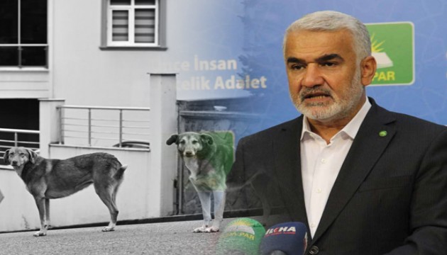 Yapıcıoğlu'ndan dikkat çeken 