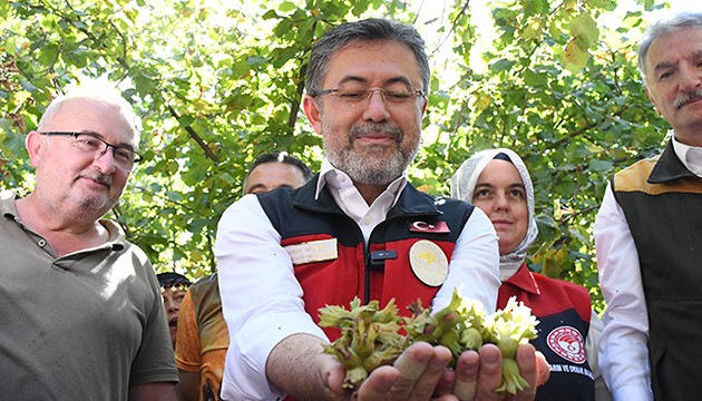 Fındık için milyarlarca lira tazminat kararı