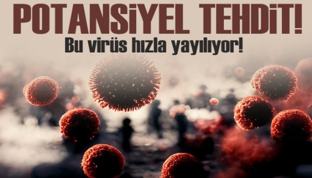 Potansiyel küresel tehdit: Amerika'da hızla yayılıyor