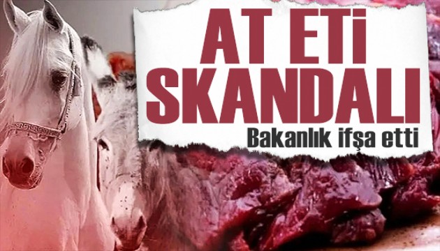 Gıdada hile yapan firmalar ifşalandı! 2 ilde at eti skandalı