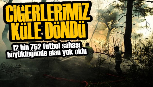 Orman yangınlarında korkutan tablo! 90 bin hektar alan yok oldu