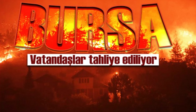 Bursa'da yangın felaketi sürüyor! Vatandaşlar tahliye ediliyor