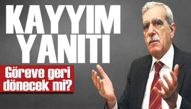 Ahmet Türk'ten kayyım sorusuna yanıt: Bütün kayyım uygulamaları kaldırılmalı