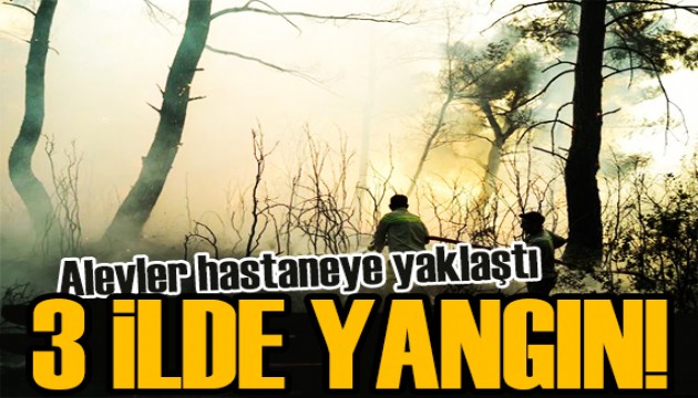 Üç ilde orman yangınları sürüyor! Alevler hastaneye yaklaştı