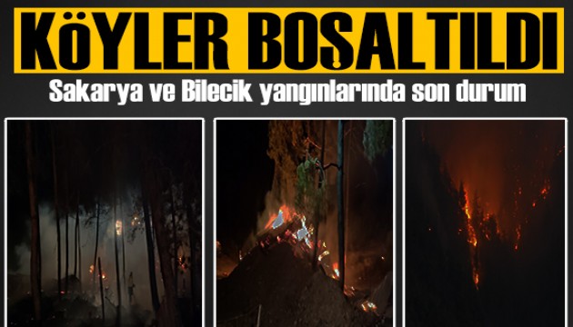 Sakarya ve Bilecik'te yangınlara müdahale sürüyor! Köyle boşaltıldı