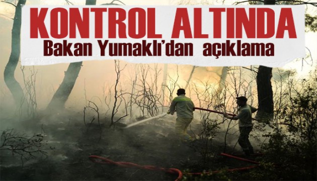 Bakan Yumaklı açıkladı: Çanakkale'deki yangın kontrol altında