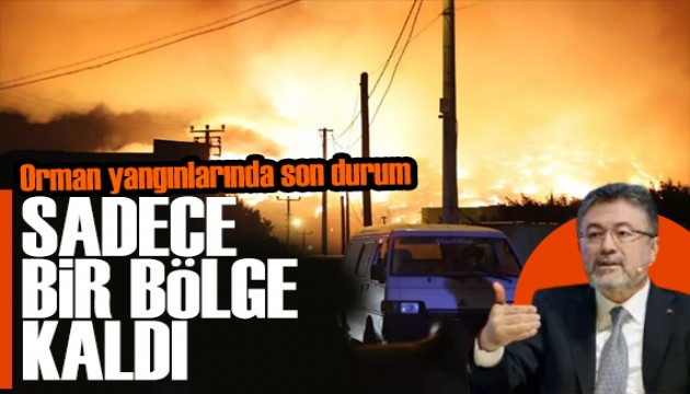 Orman yangınlarında son durum! Bakan Yumaklı: Harmancık yangını sürüyor