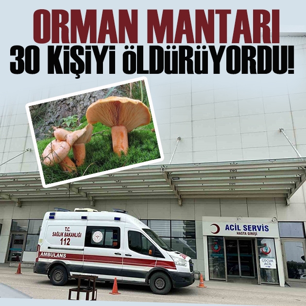 Mantar yiyen 30 kişi zehirlendi