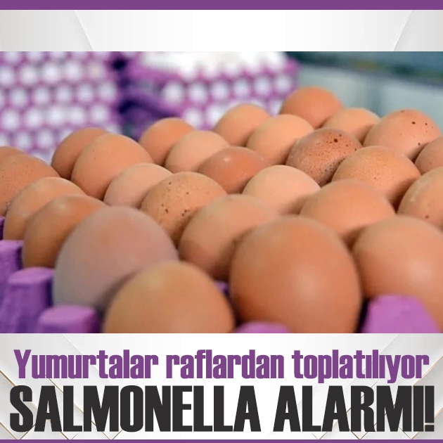 Yumurtalarda salmonella alarmı! Raflardan toplatılıyor