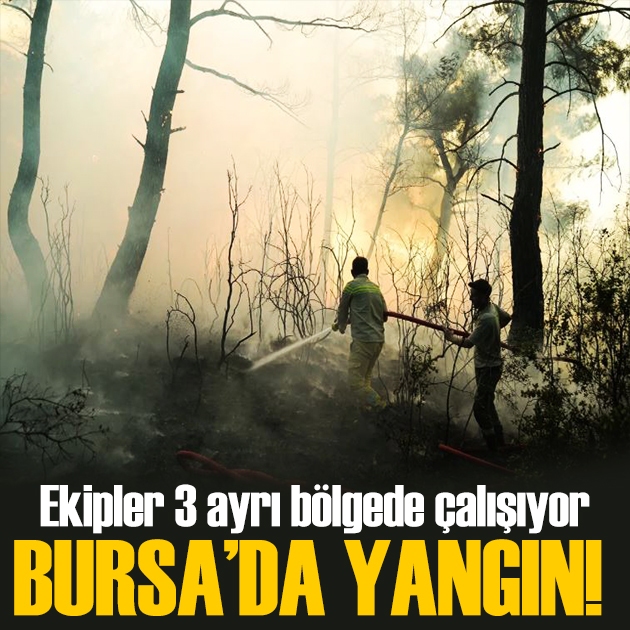 Bursa'da 3 ayrı noktada orman yangını! Ekipler bölgede
