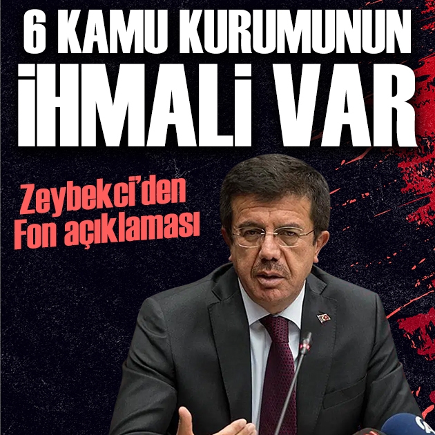 Zeybekci'den fon soruşturması açıklaması: 6 kamu kurumunun ihmali var